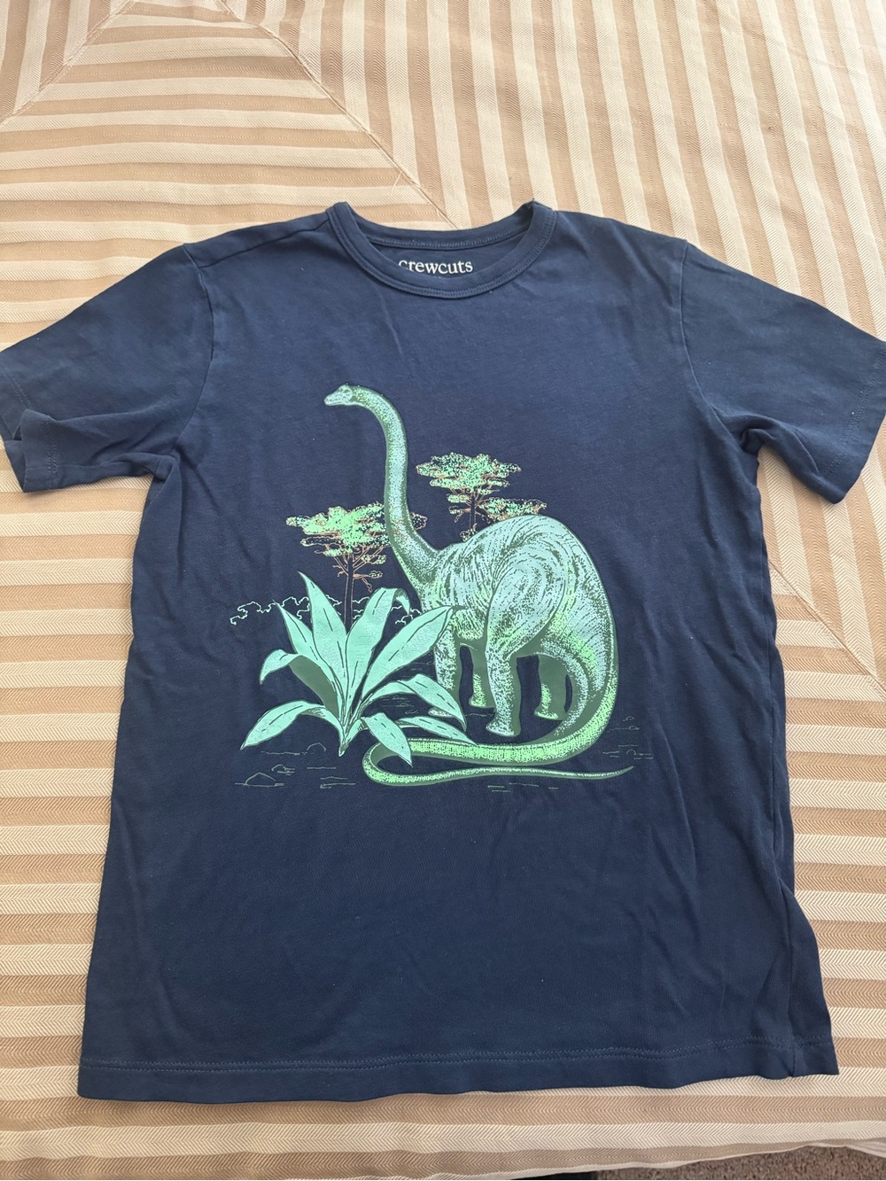 Crewcuts Navy Blue Tee with Green Dinosaur Graphic